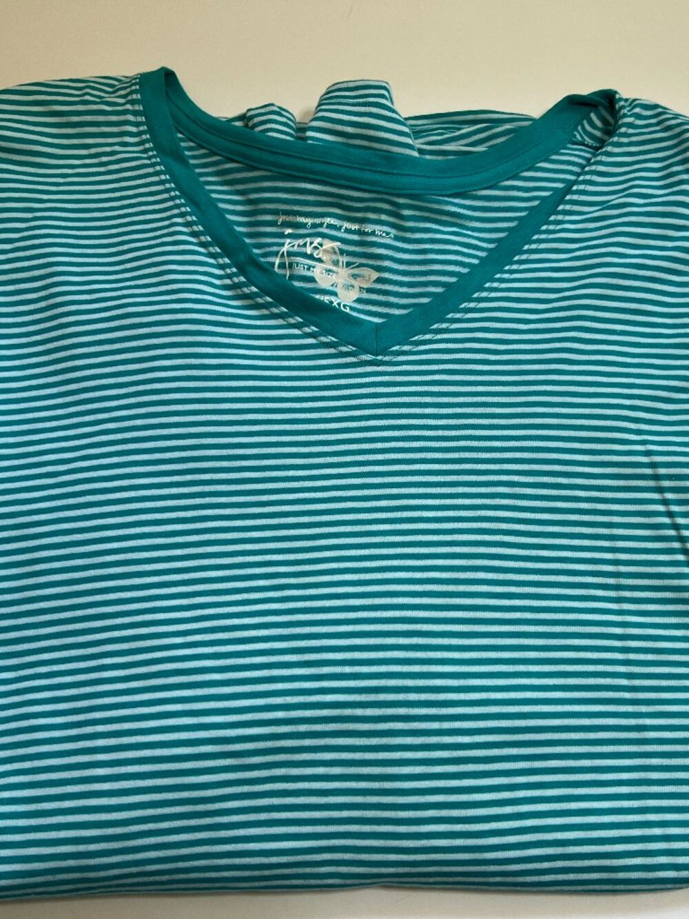 Just My Style Teal and White Cotton Top W5x